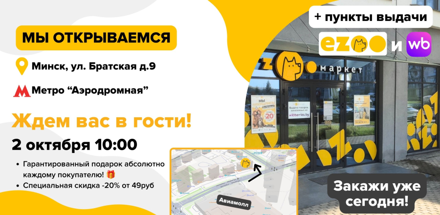 Братская открытие